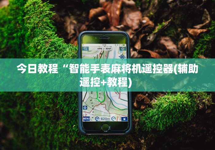 今日教程“智能手表麻将机遥控器(辅助遥控+教程) 