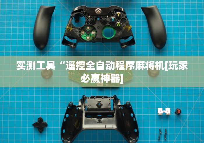 实测工具“遥控全自动程序麻将机[玩家必赢神器]