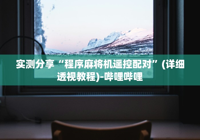 实测分享“程序麻将机遥控配对”(详细透视教程)-哔哩哔哩