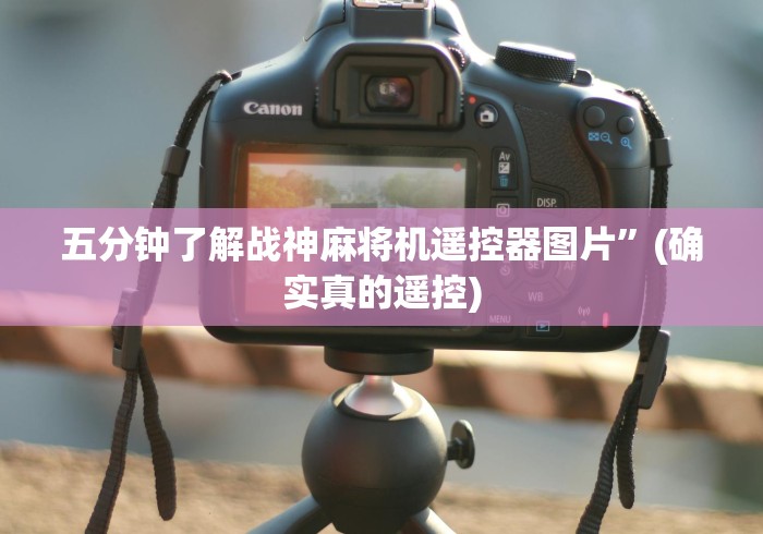 五分钟了解战神麻将机遥控器图片”(确实真的遥控) 五分钟了解战神麻将机遥控器图片”(确实真的遥控)