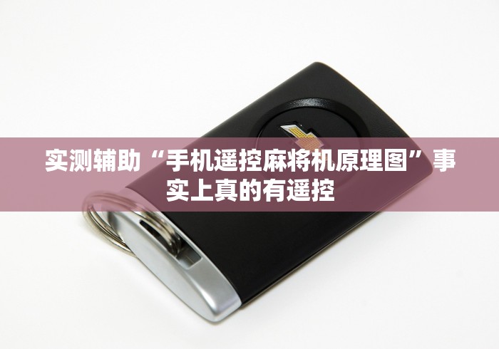 实测辅助“手机遥控麻将机原理图”事实上真的有遥控 实测辅助“手机遥控麻将机原理图”事实上真的有遥控