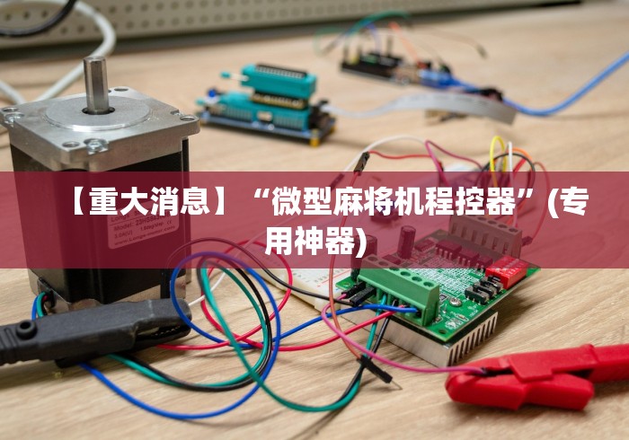 【重大消息】“微型麻将机程控器”(专用神器)