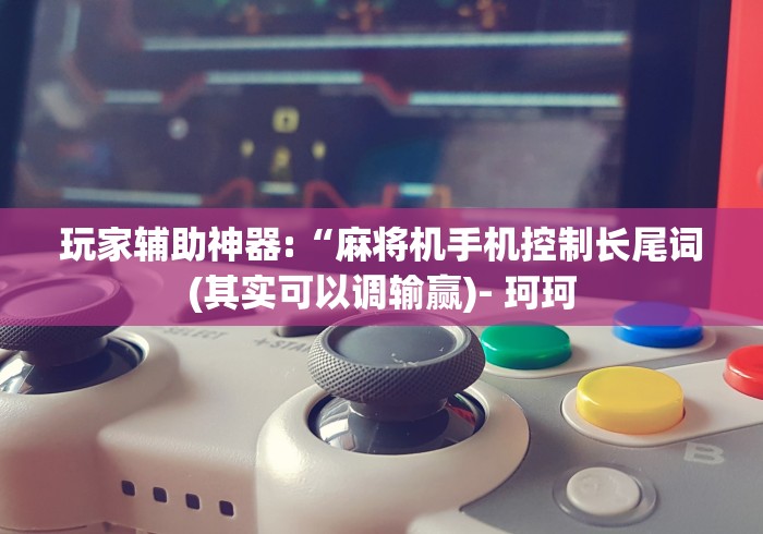 玩家辅助神器:“麻将机手机控制长尾词(其实可以调输赢)- 珂珂