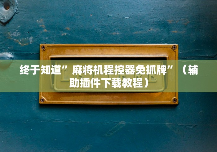终于知道”麻将机程控器免抓牌”(辅助插件下载教程) 终于知道”麻将机程控器免抓牌”(辅助插件下载教程)