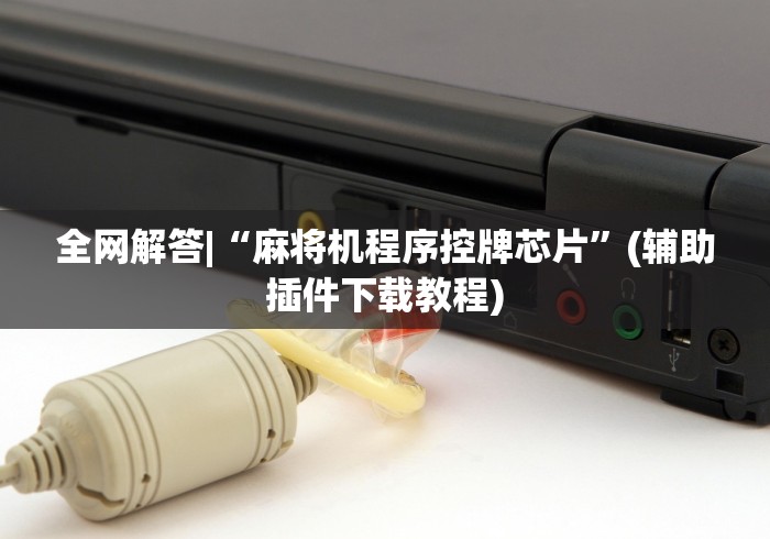 全网解答|“麻将机程序控牌芯片”(辅助插件下载教程) 全网解答|“麻将机程序控牌芯片”(辅助插件下载教程)