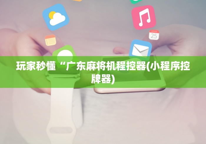 玩家秒懂“广东麻将机程控器(小程序控牌器) 玩家秒懂“广东麻将机程控器(小程序控牌器)