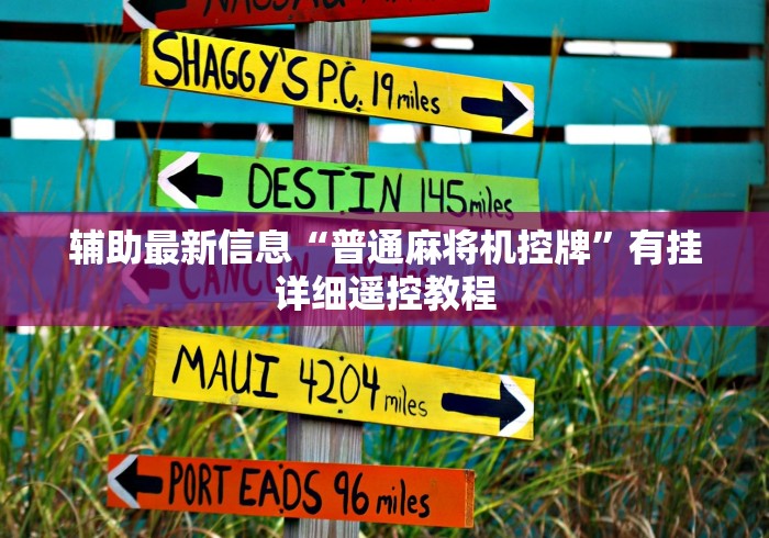 辅助最新信息“普通麻将机控牌”有挂详细遥控教程 辅助最新信息“普通麻将机控牌”有挂详细遥控教程